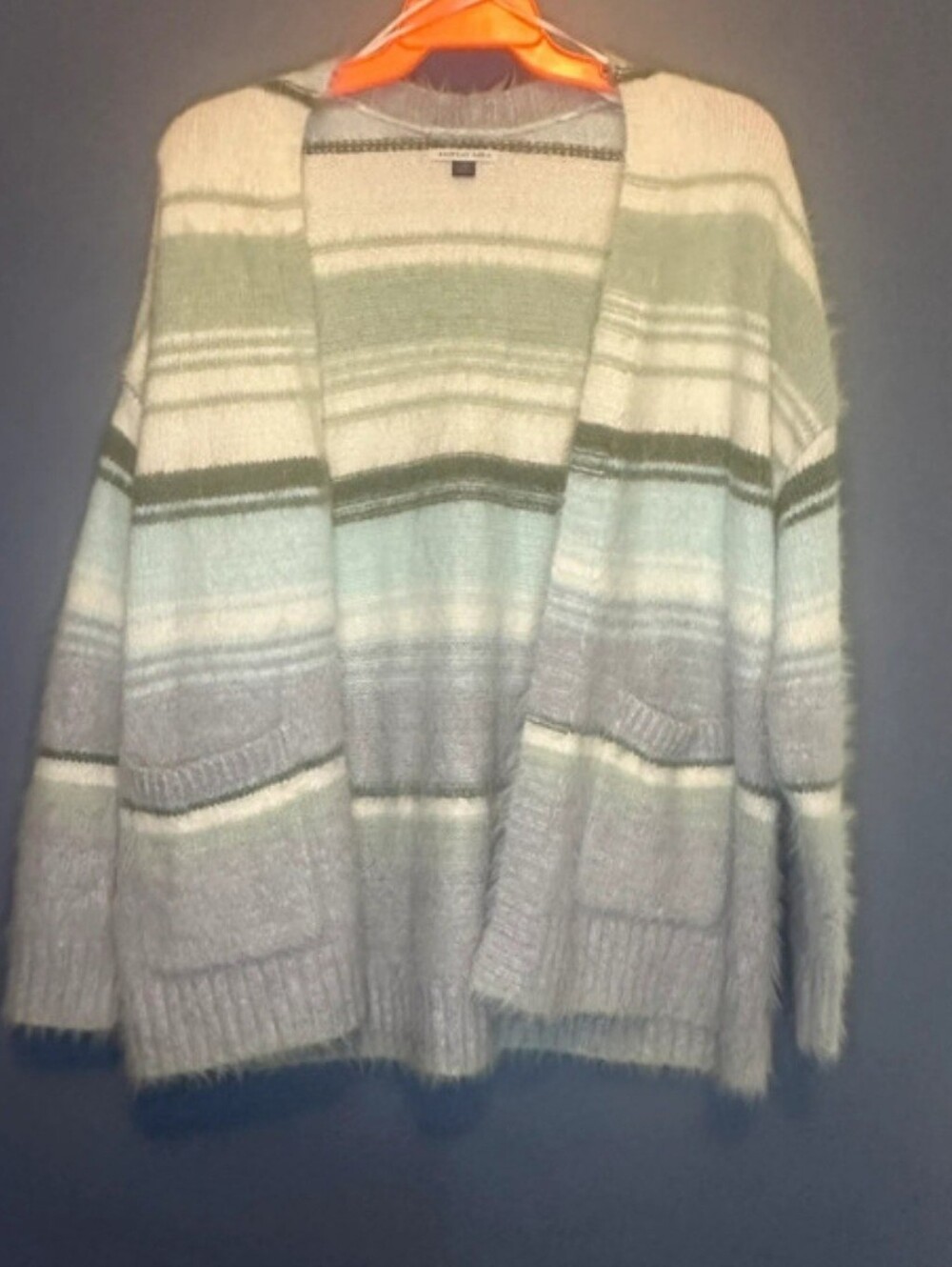American Eagle Cardigan